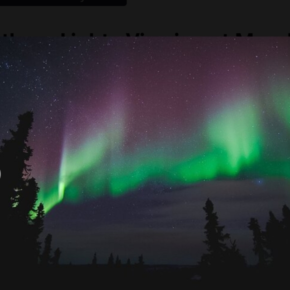 Bertha is my P A R T Y  ♥️and follow for closet updates!!! - Picture 4 of 4